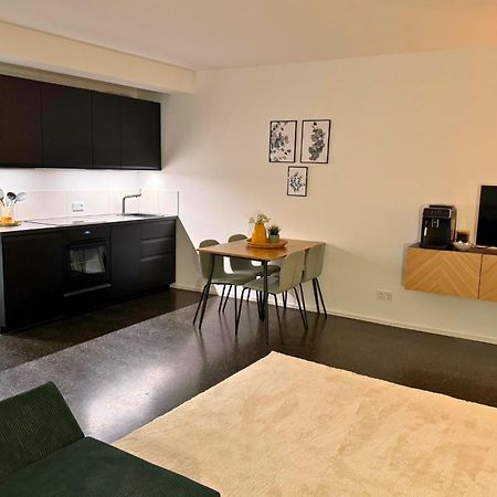 Isaak Apartment Stadtperle Waldshut-Tiengen Bagian luar foto