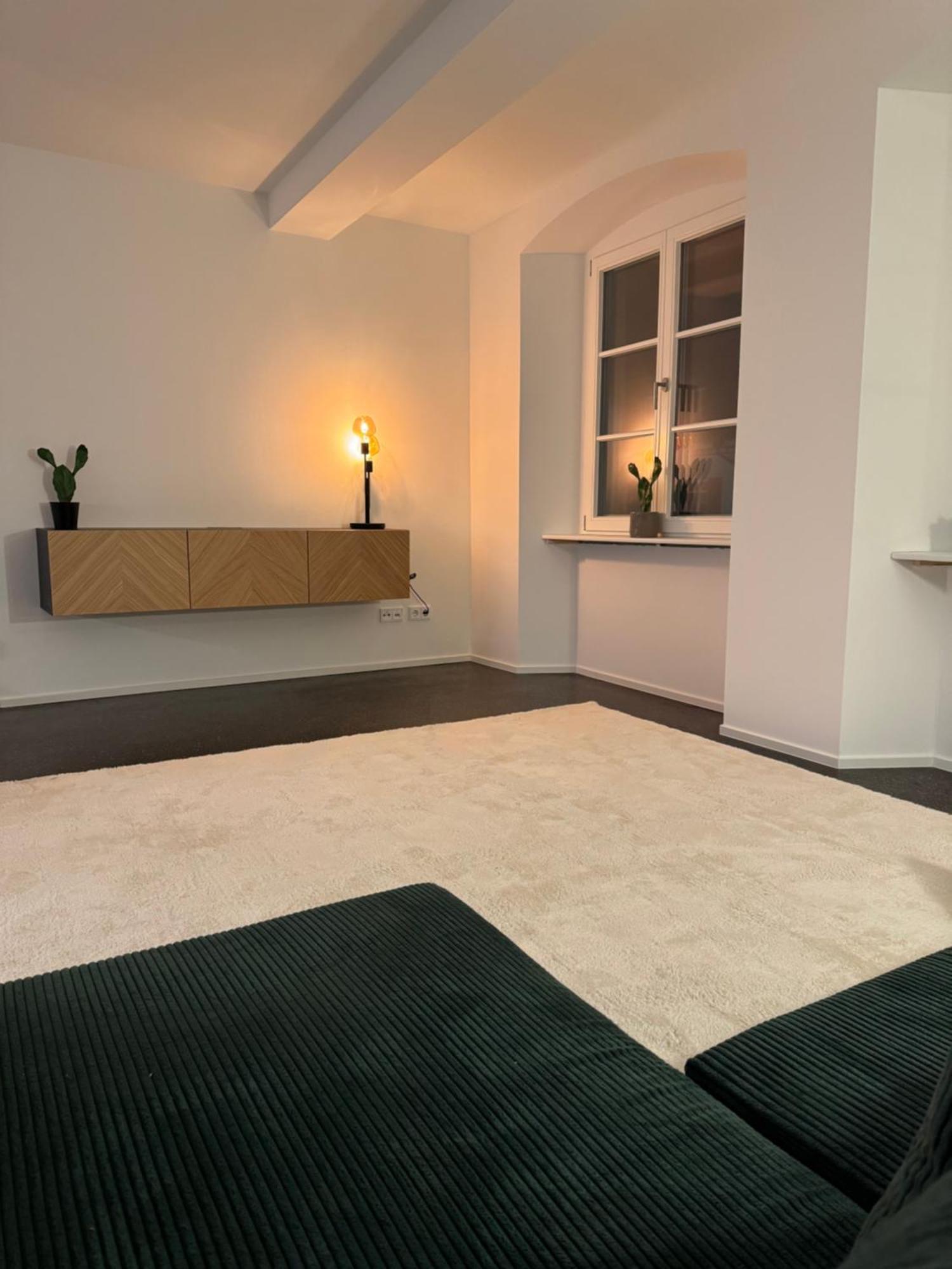Isaak Apartment Stadtperle Waldshut-Tiengen Bagian luar foto
