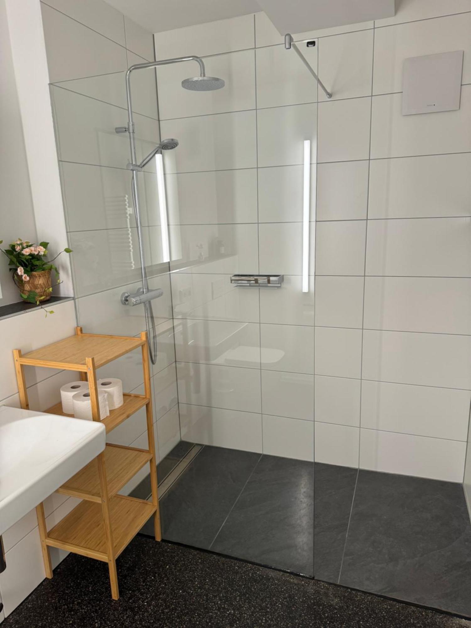 Isaak Apartment Stadtperle Waldshut-Tiengen Bagian luar foto